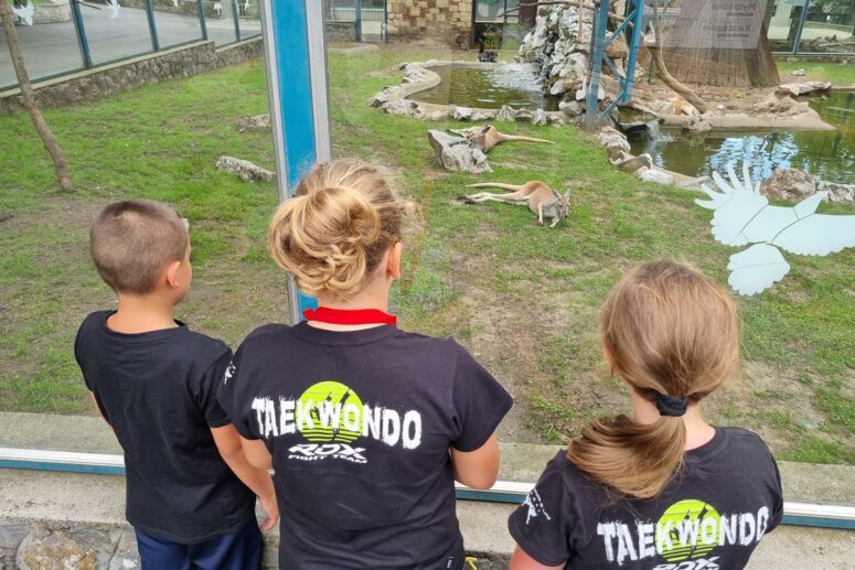 ČARI ZOOLOŠKOG VRTA U BEOGRADU