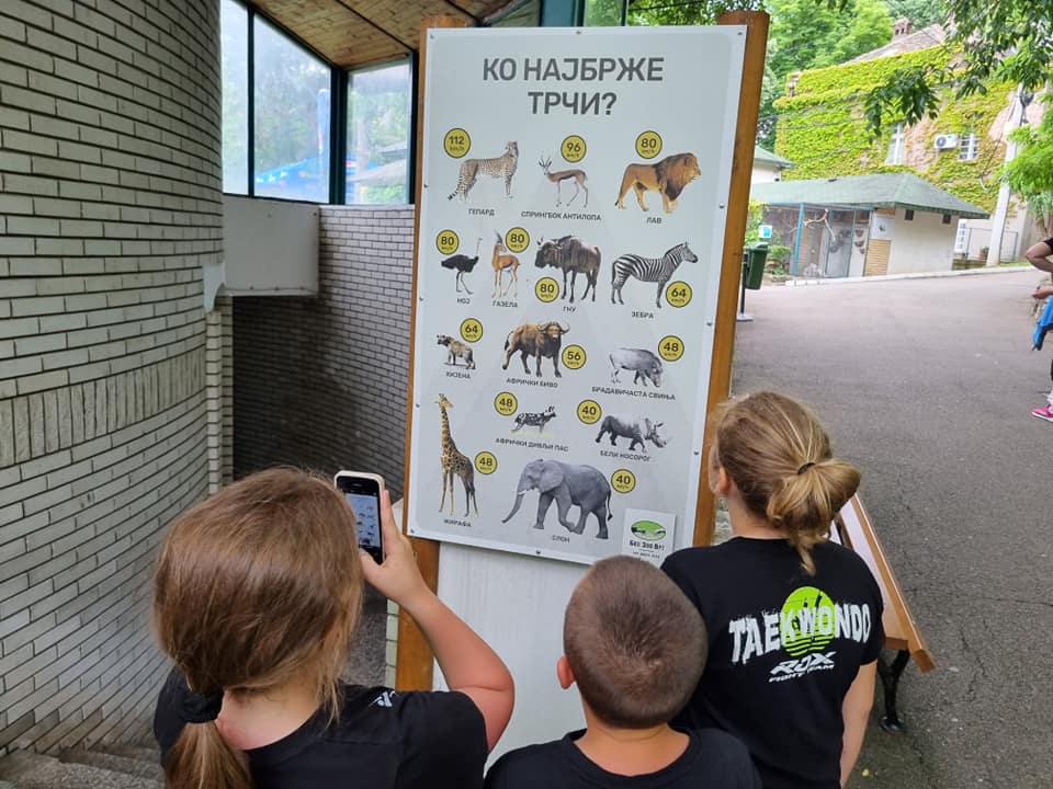 ČARI ZOOLOŠKOG VRTA U BEOGRADU
