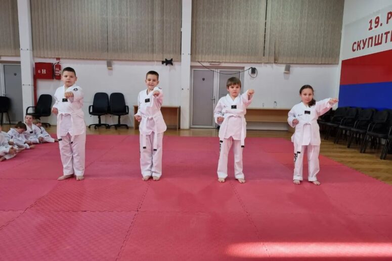 ZAVRŠEN PRVI ISPIT ZA POČETNA TEKVONDO ZVANJA U STANARIMA 2023