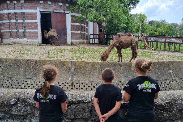 ČARI ZOOLOŠKOG VRTA U BEOGRADU