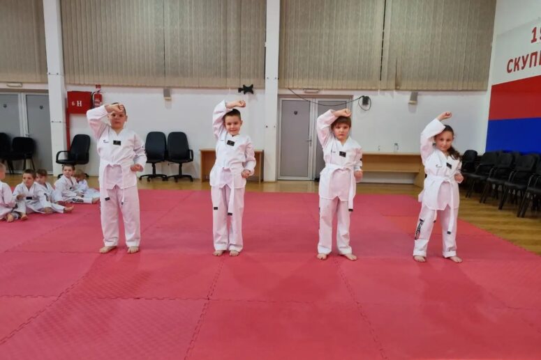 ZAVRŠEN PRVI ISPIT ZA POČETNA TEKVONDO ZVANJA U STANARIMA 2023