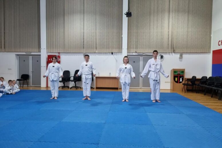 ZAVRŠEN DRUGI ISPIT ZA POČETNA TEKVONDO ZVANJA U STANARIMA 2023