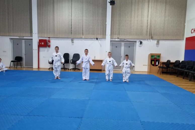 ZAVRŠEN DRUGI ISPIT ZA POČETNA TEKVONDO ZVANJA U STANARIMA 2023