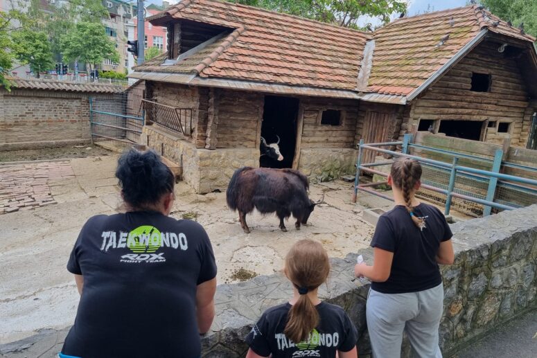 ČARI ZOOLOŠKOG VRTA U BEOGRADU