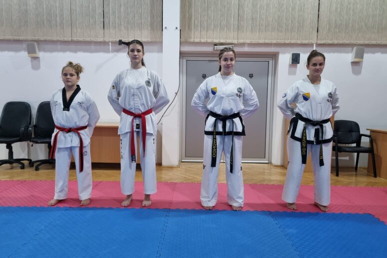 ZAVRŠEN ISPIT ZA WT MAJSTORSKA TEKVONDO ZVANJA